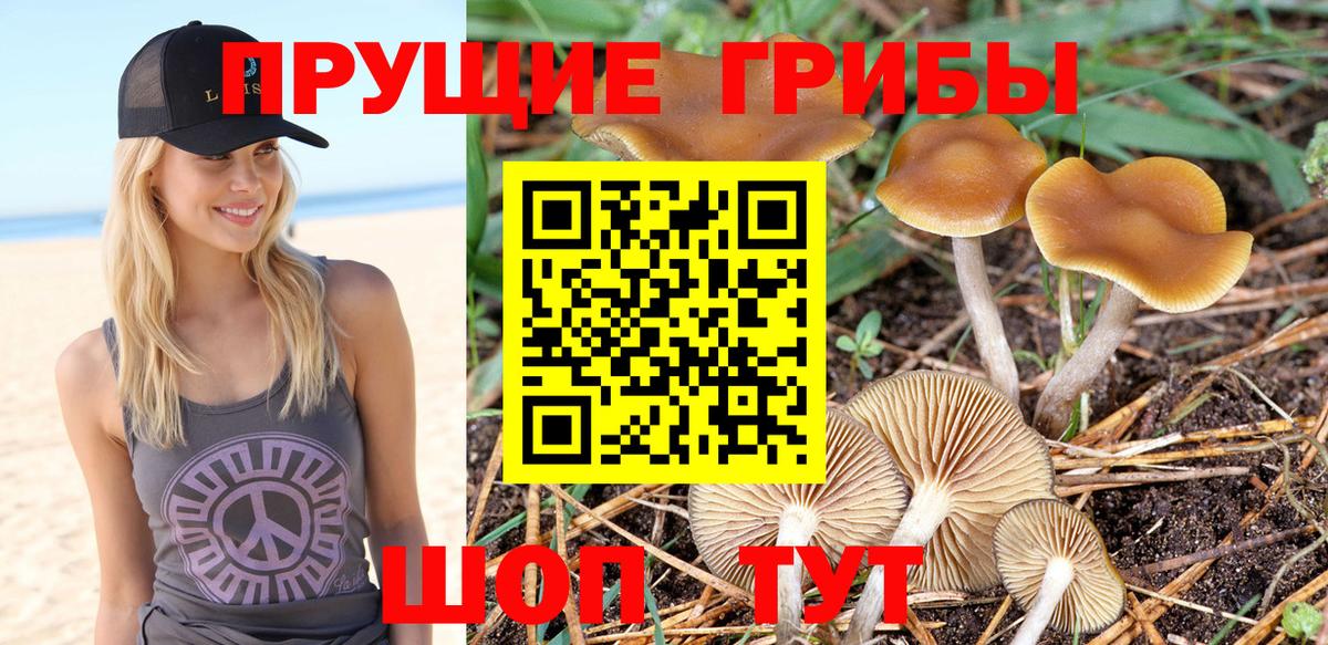 Галлюциногенные грибы MAGIC MUSHROOMS  Псилоцибиновые грибы MAGIC MUSHROOMS  Донской  Вход с VPN 